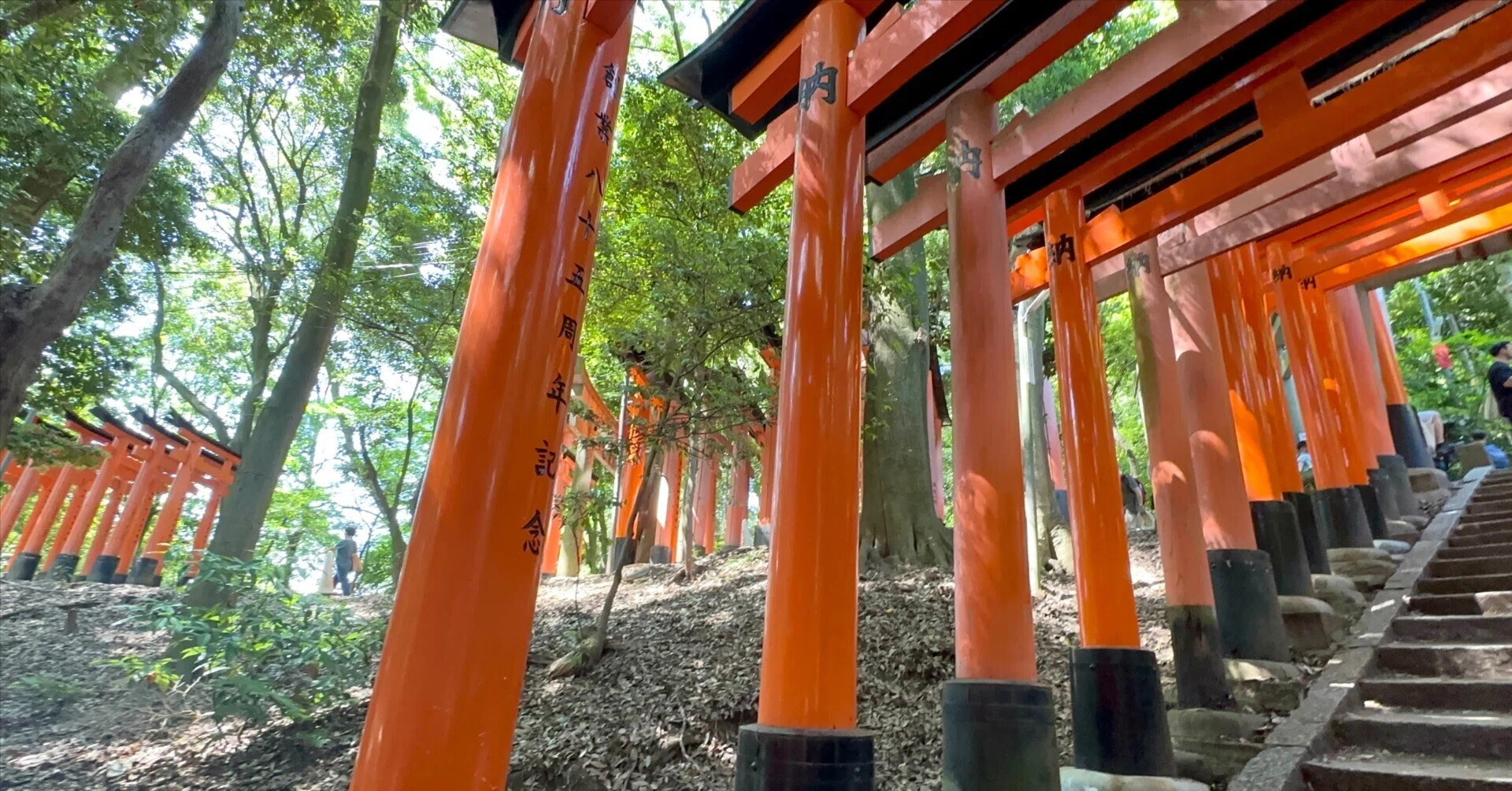 伏見稲荷大社　いなり山埴　初午盞　希少　珍品 初伏見稲荷大社へ｜yukiya-konkon
