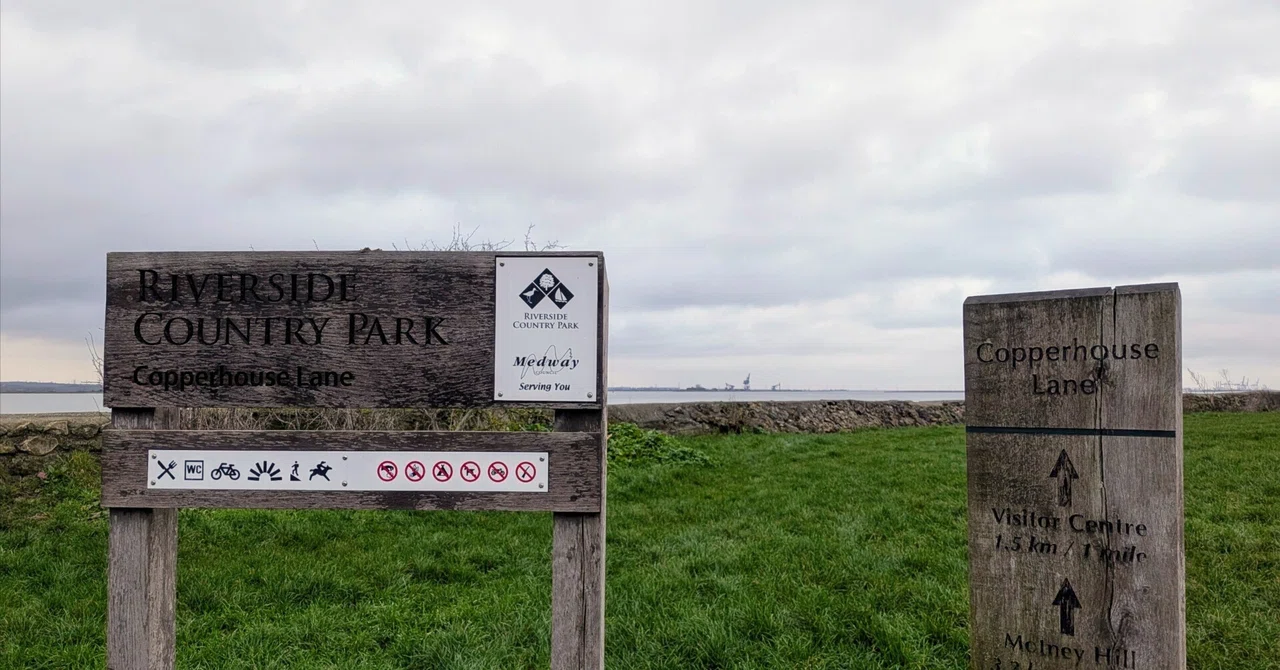 Exploring Riverside Country Park: A Nature Guide to Kent’s Medway Marshes