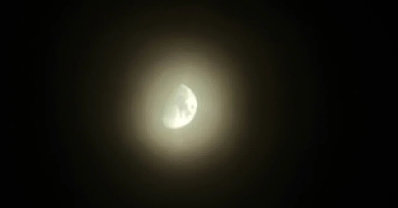 朧月夜｜アラン藤島