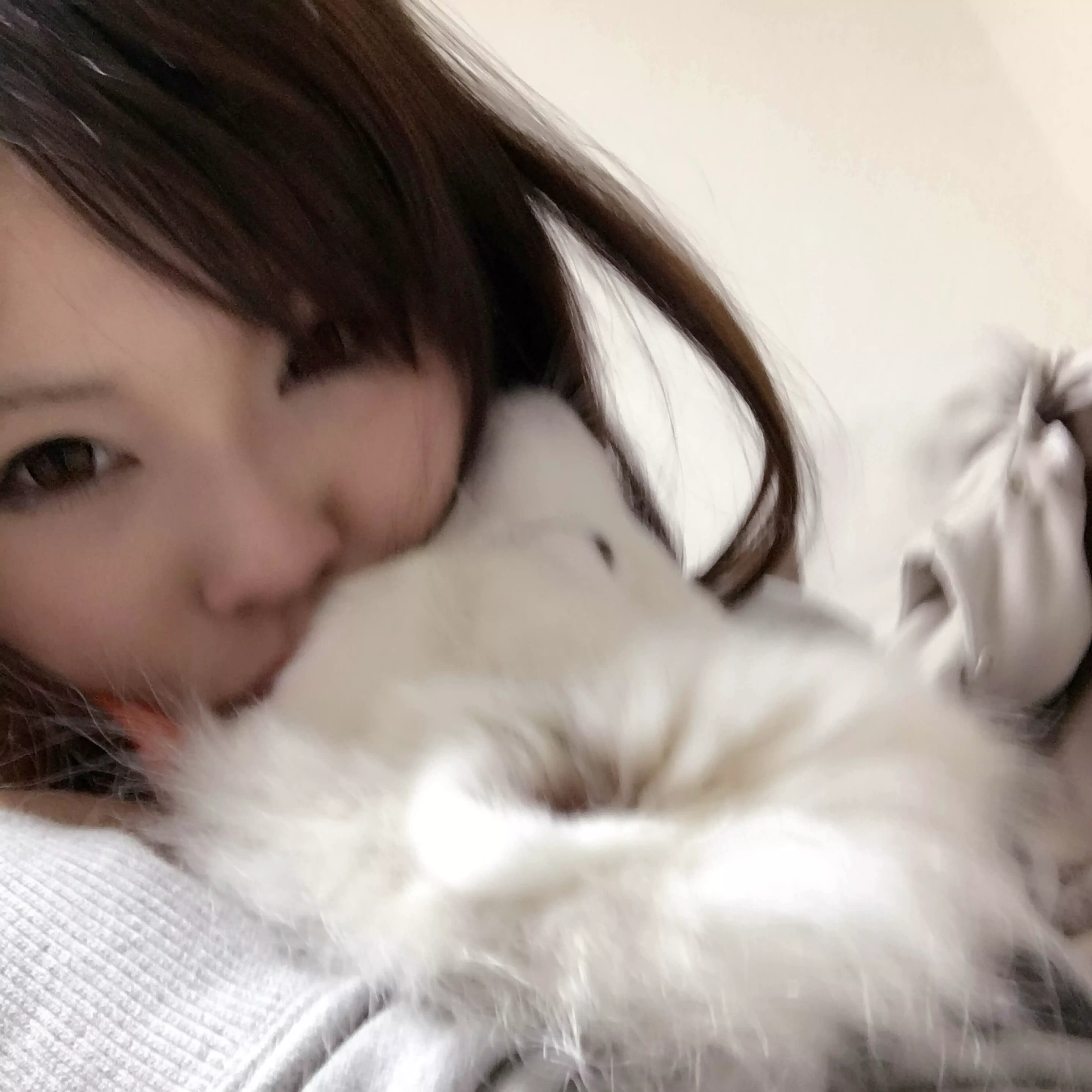 うりさま