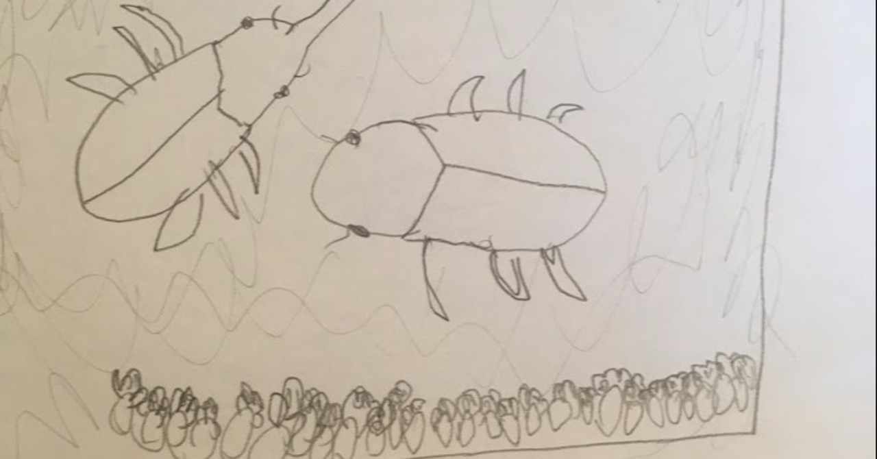 回想カブトムシ カブ太のこと 永山マキ Note