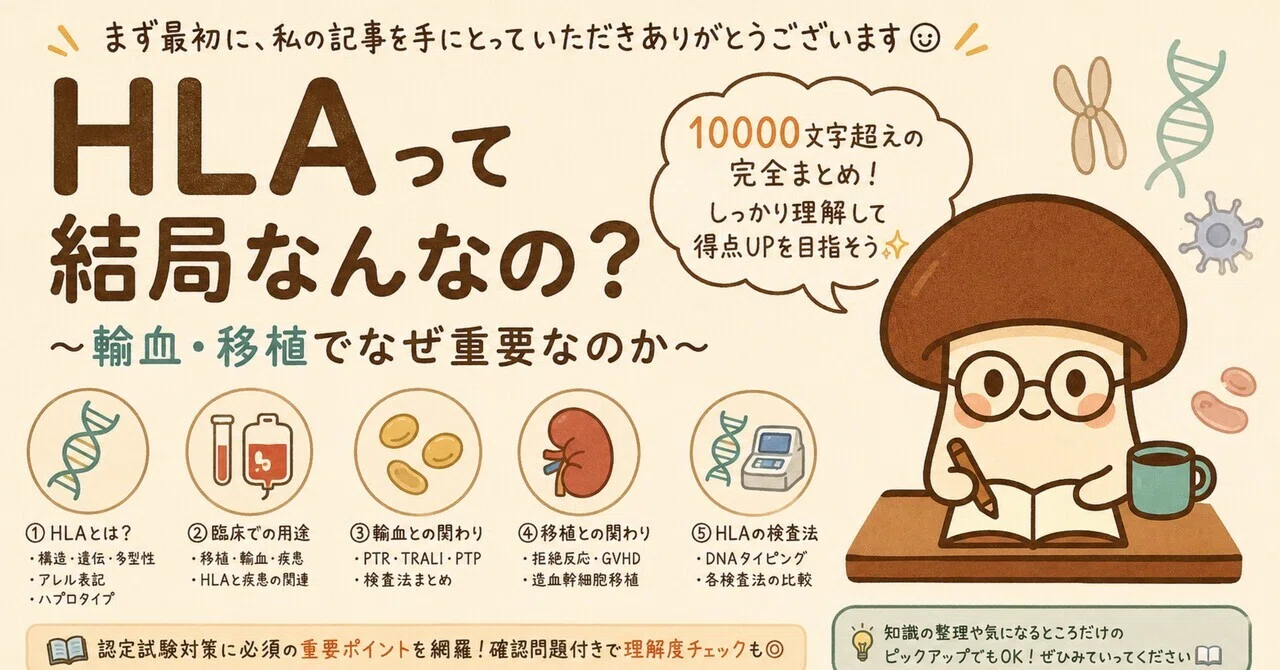 HLA完全解説｜基礎から臨床・検査法まで丁寧にまとめました｜dora@病院