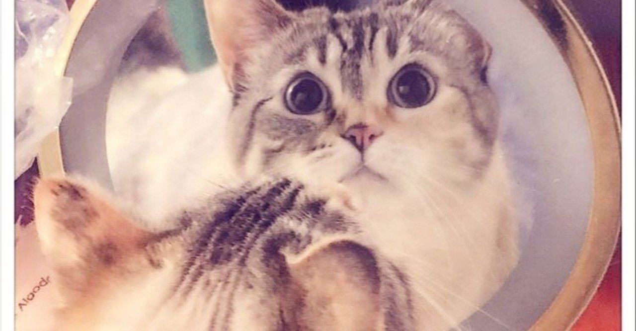 宇宙語 適当にやったらしゃべれた 風のスピリチュアル note