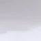 clean_minnow7771