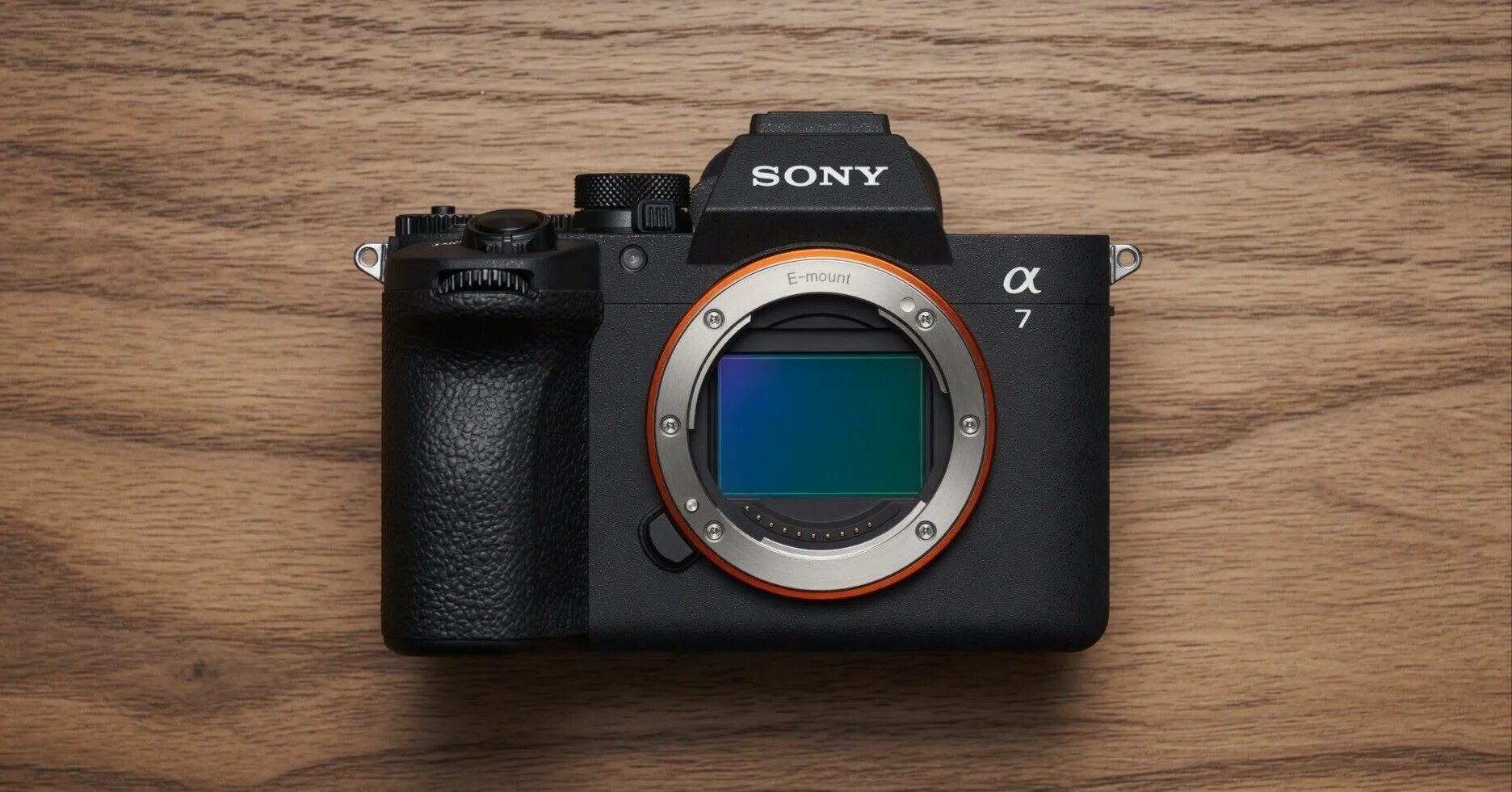 現代SIGMAで動体を撮るなら、結局SONY αしかない｜あかうさ📸