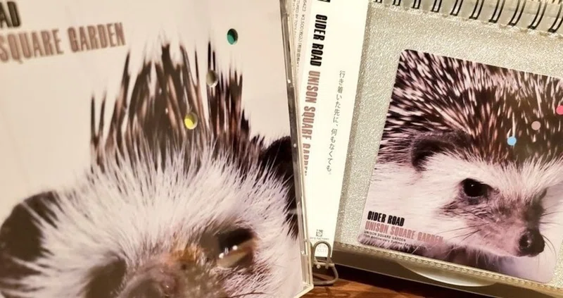 Cd 帯まとめ ずんだぱん Note