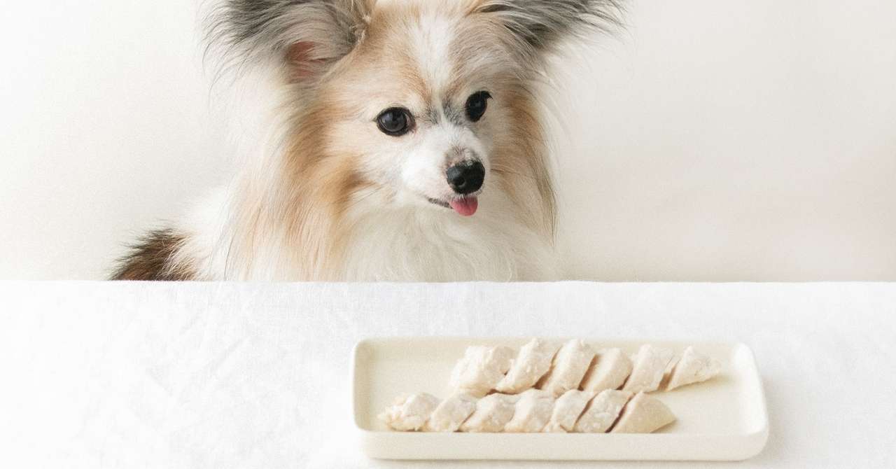 ほったらかし気味レシピ 材料２つ ささみで作るサラダチキン 手作り犬おやつレシピ 犬ごはん先生いちかわあやこ Official Web Site