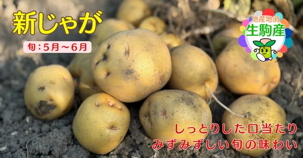 生駒市公式note