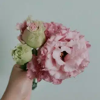 朝風サク