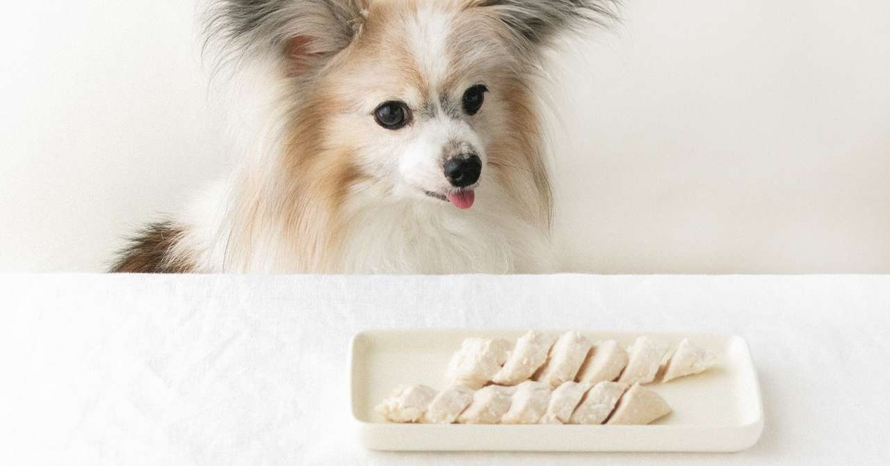 ほったらかし気味レシピ 材料2つ ささみで作るサラダチキン 手作り犬おやつレシピ 犬ごはん先生いちかわあやこ Official Web Site