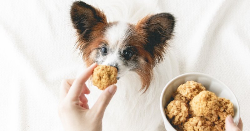 マコロン風オートミールクッキー 手作り犬おやつレシピ 単品購入 いちかわあやこ 犬ごはん先生 Note