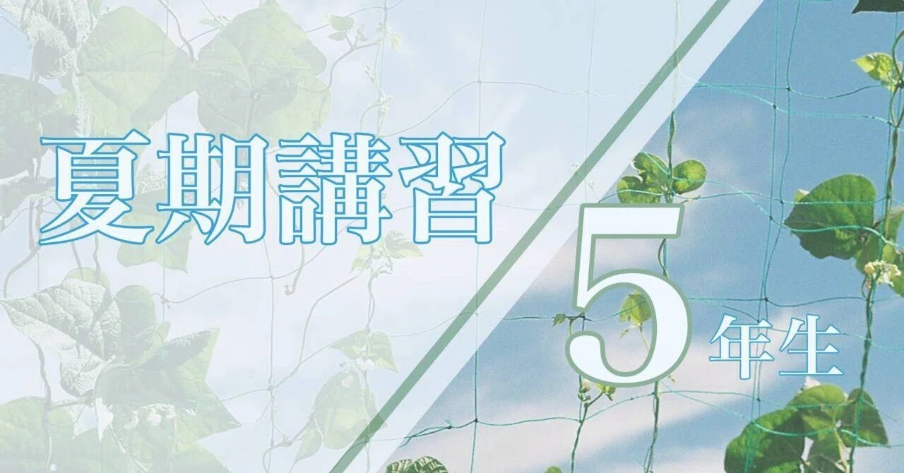 2026年】5年生の夏期講習のご案内｜学習塾 BOXOUT