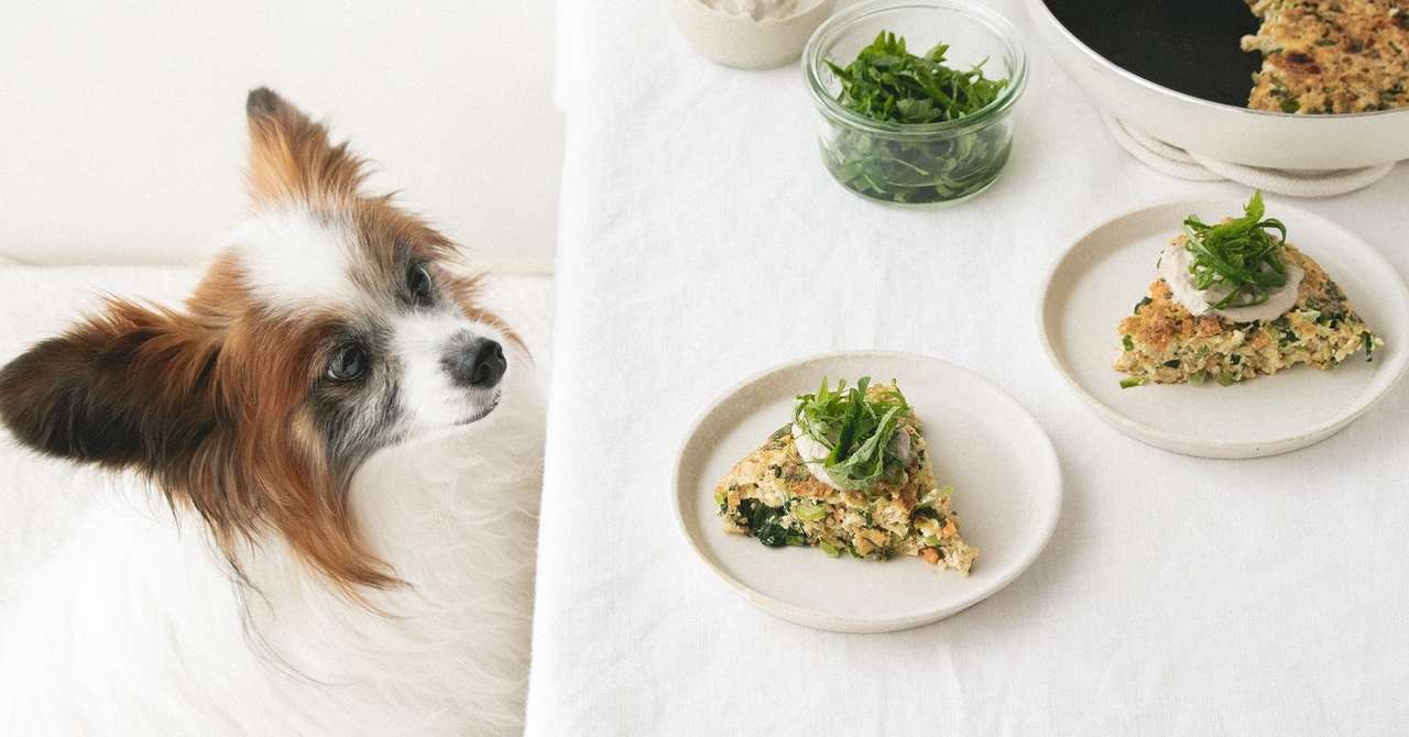 ほったらかし気味レシピ フライパンでオートミールお好み焼き レバーソース 手作り犬ごはんレシピ 犬ごはん先生いちかわあやこ Official Web Site