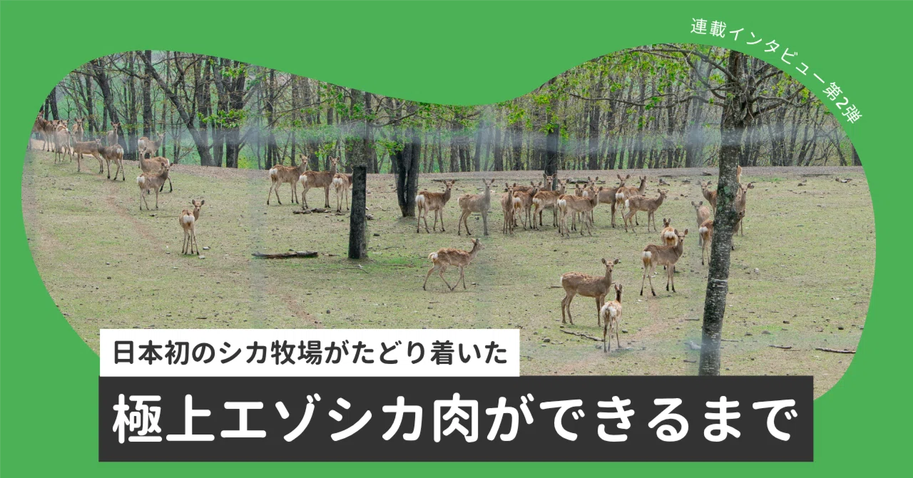 日本初の「シカ牧場」が20年かけて辿り着いた、極上エゾシカ肉の舞台裏 