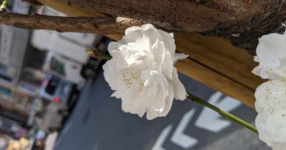 なぞなぞ その5 くれあ Clair 笑う花には福きたる Note