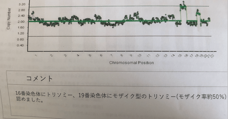 流産は悲しい 染色体異常の判明は悔しい Nego Sion Note 流産は悲しい 染色体異常の判明は悔しい Nego Sion Note