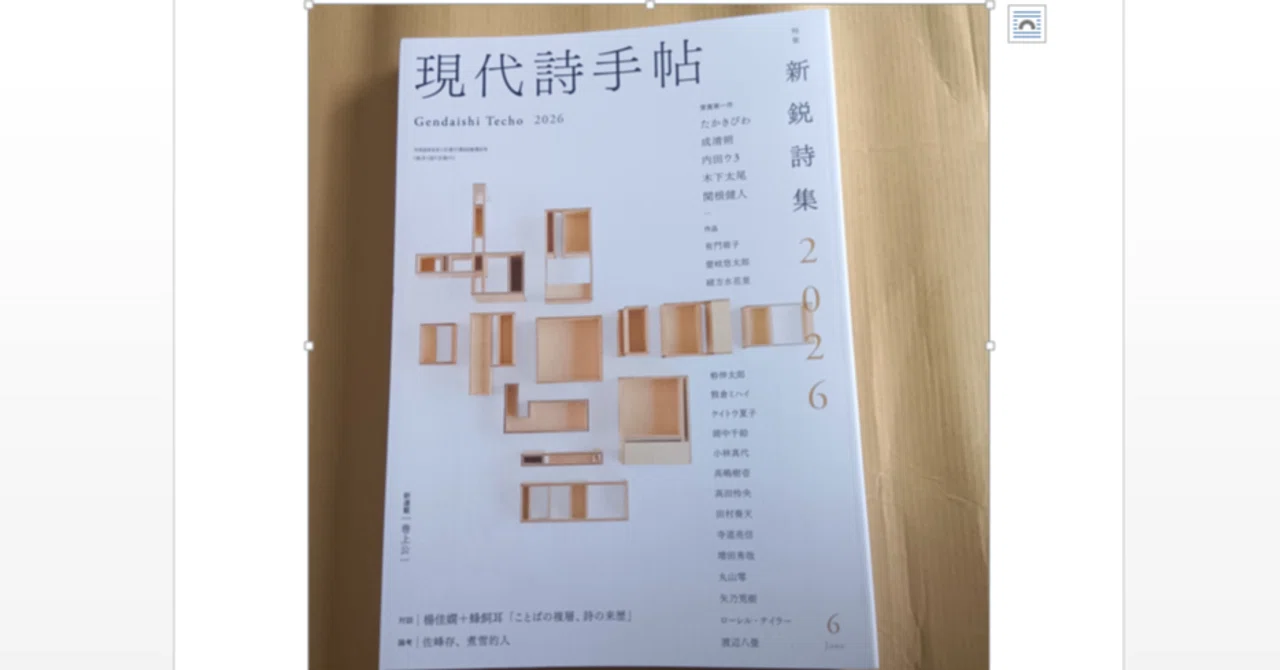 現代詩手帖6月号｜矢乃荒樹