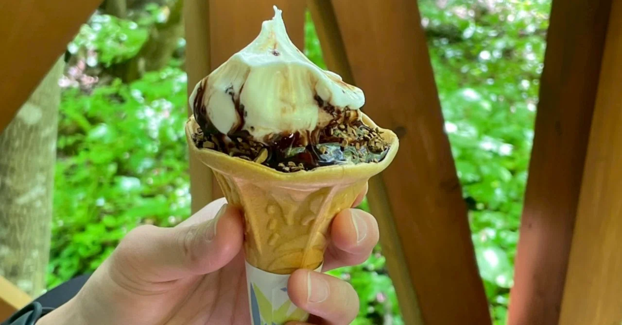 ✏︎Column Gravel Soft Serve｜わた子