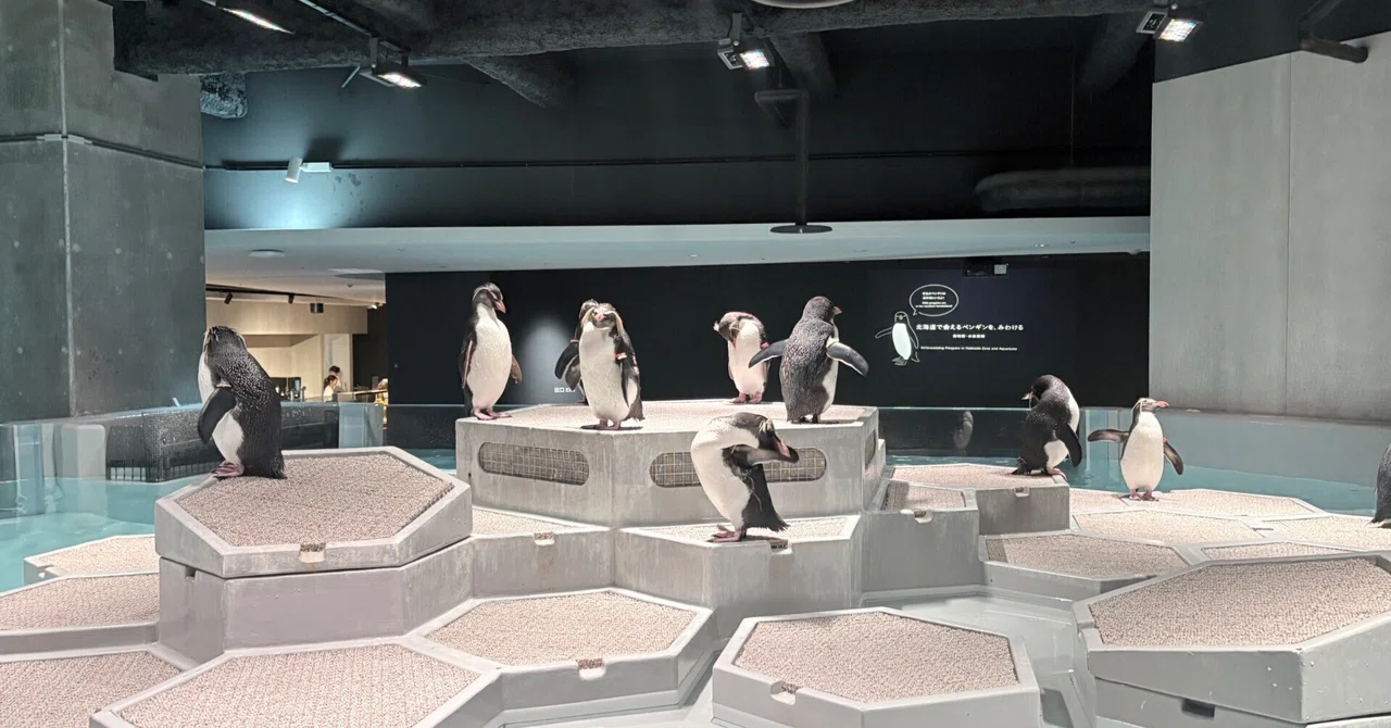 水族館🦭｜Rukbat Starr
