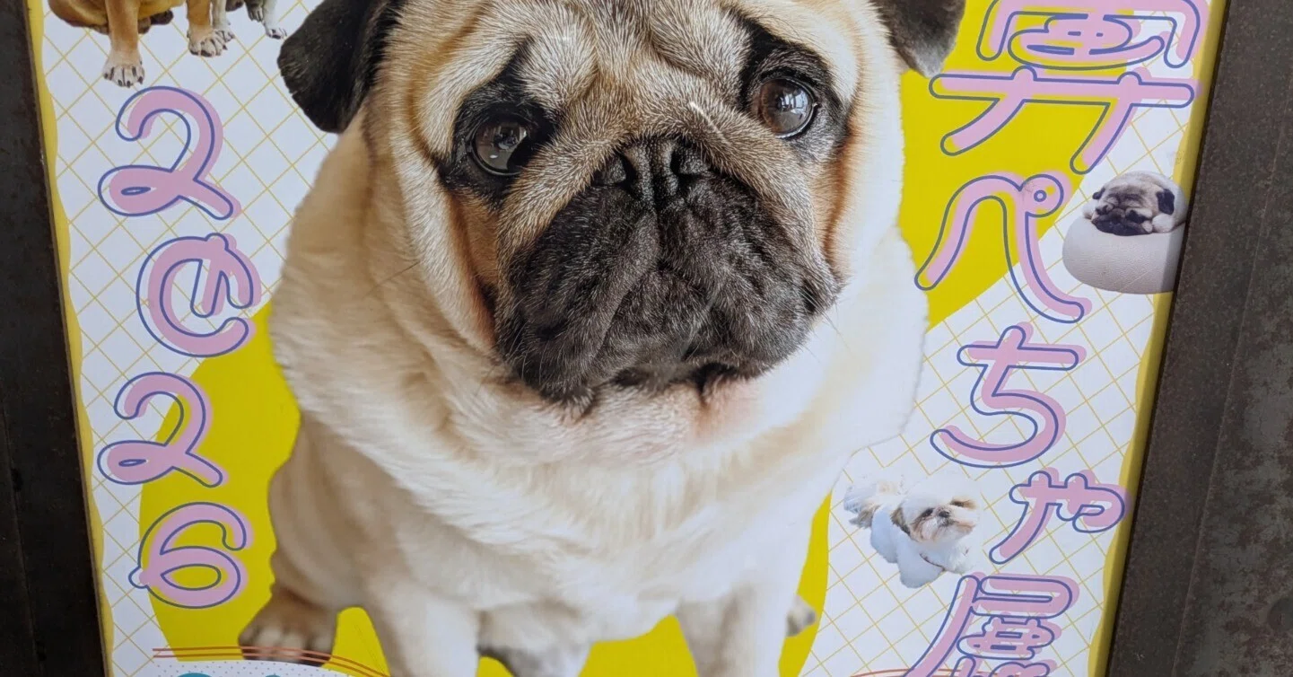 104】「鼻ぺちゃ展2026」で犬への愛♡が爆発！｜Art memo ｜Office SUI