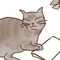 ひるで