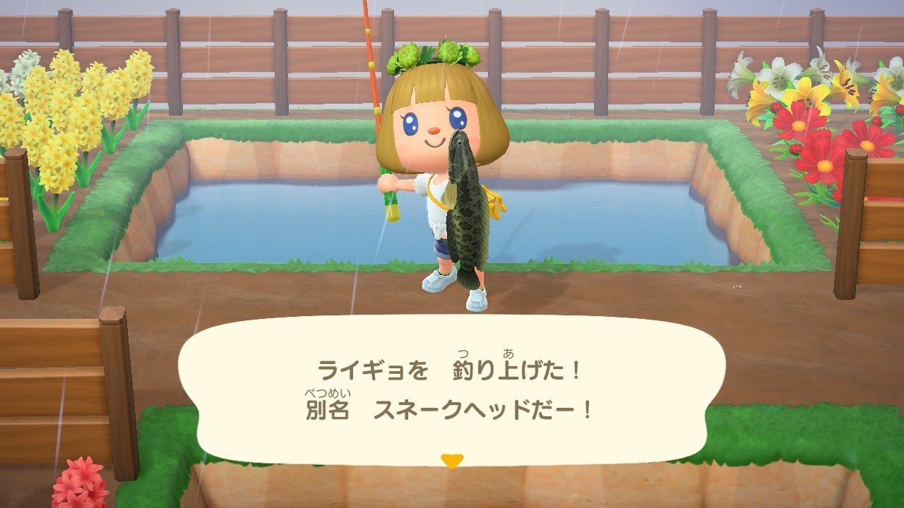 梅雨じゃー シーラカンスじゃー ぱみとあつ森 40 ぱみ Note