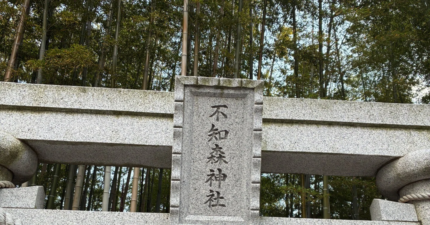 八幡宮の研究 やはた」の謎——書き換えられる前の八幡の姿｜十湖