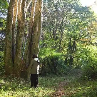 あん