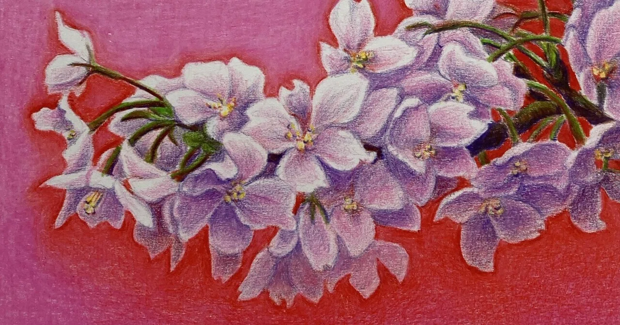 ダーマトグラフ作品 桜 の完成まで〜制作過程公開‼️」｜Yuna.
