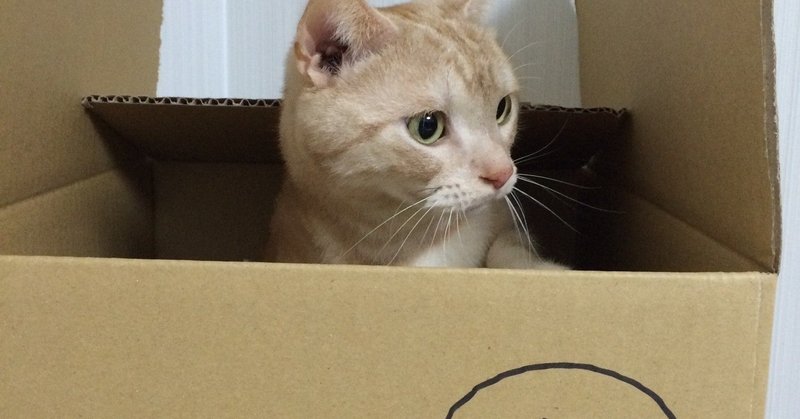 上の階の人がうるさいいいい バシノート note