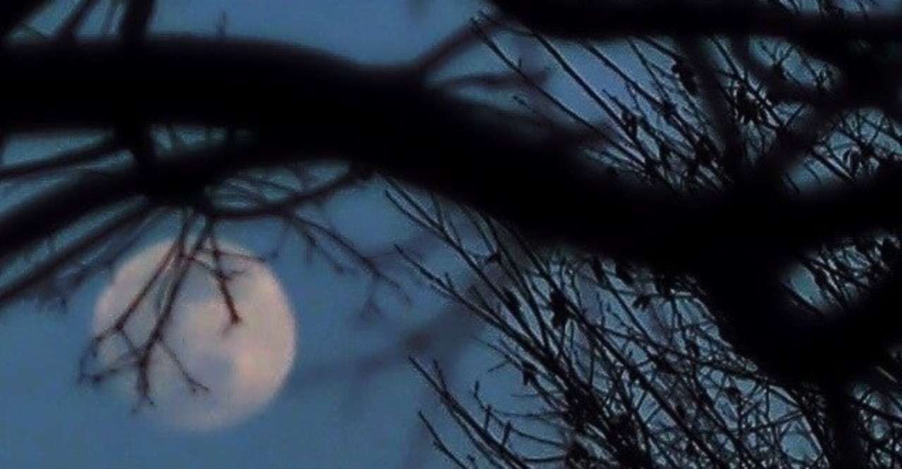 【アルゼンチン短編】 月夜の悲劇と奇跡｜奥川駿平🇦🇷｜note