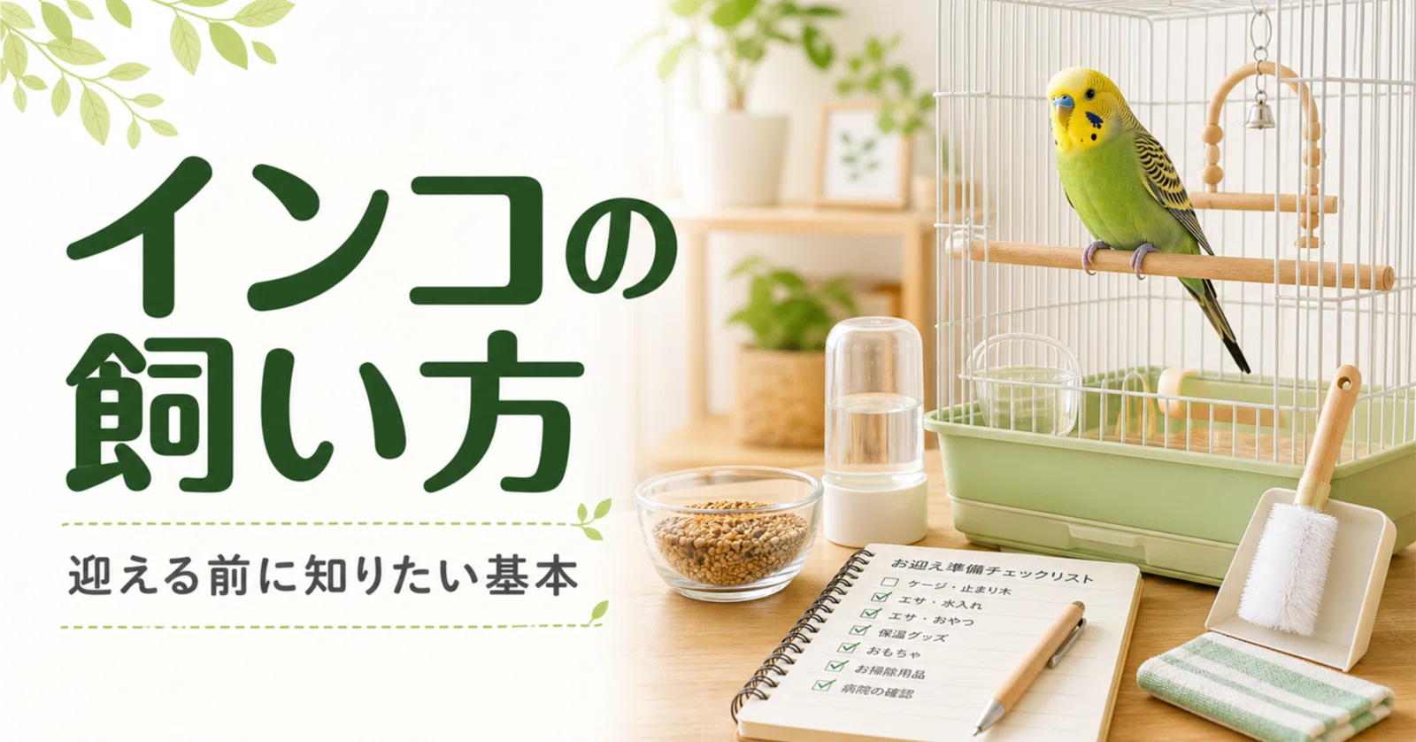 Codexポン出し検証--はじめてのインコの飼育｜かみんぐ-S