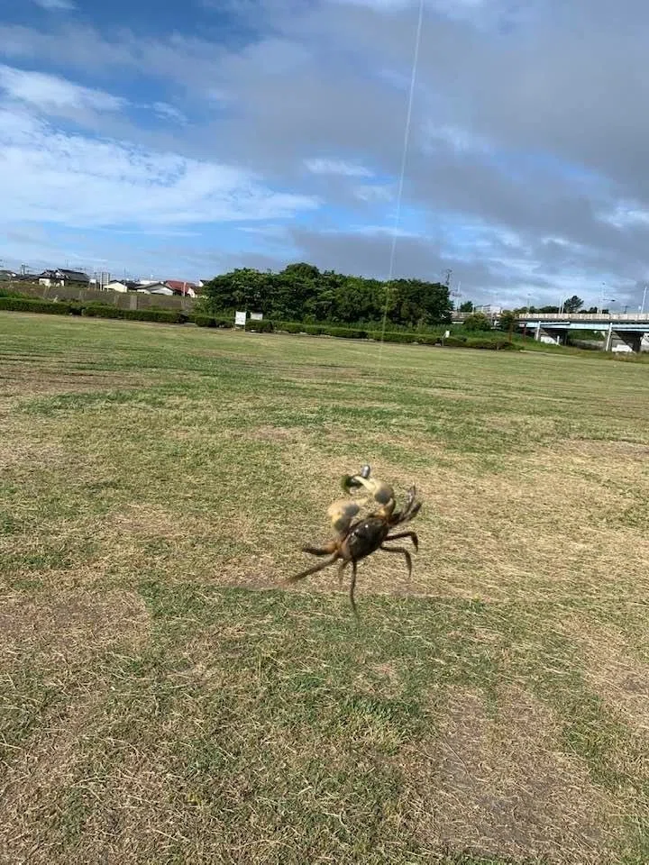 画像4