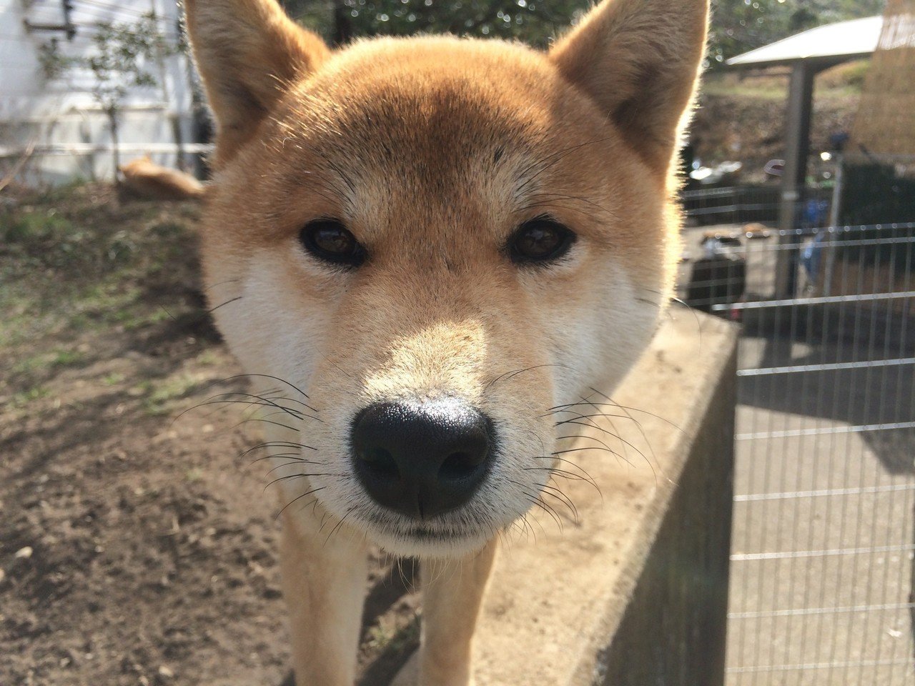 カメラ目線 小山隆信 Note カメラ目線 小山隆信 Note