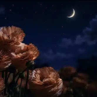 未来-miku-夜に詠む詩🌙