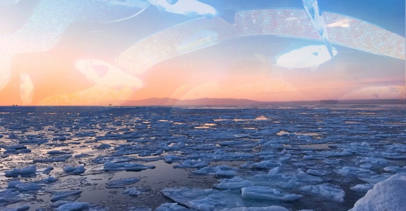 ロシア語学習８日目 Halka Note