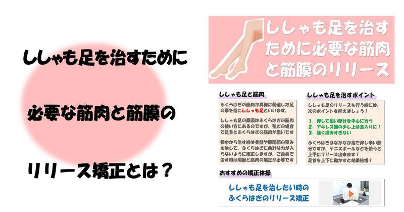 ししゃも足を治すために必要な筋肉と筋膜リリースとは Revisionginza Note