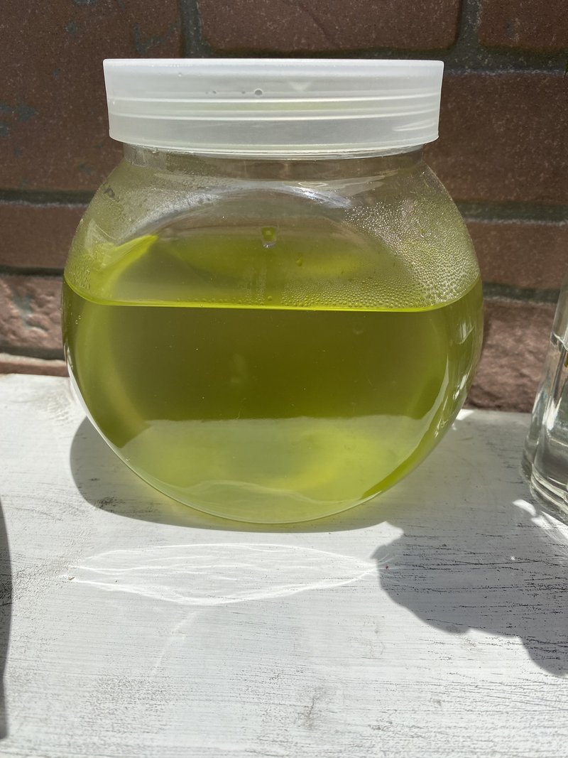 鉄魚の部屋 第３話 卵到着 Itoh Vox Note