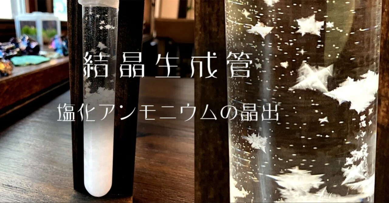 氷の科学実験 食塩水と砂糖水の凍り方を比べてみよう
