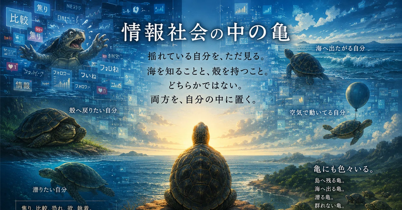 The Turtle in the Information Society｜時眼坊