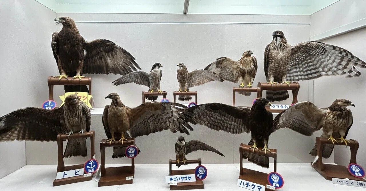 隠れた名館⑪】酒田(山形県)・鳥海イヌワシみらい館ってどんな場所