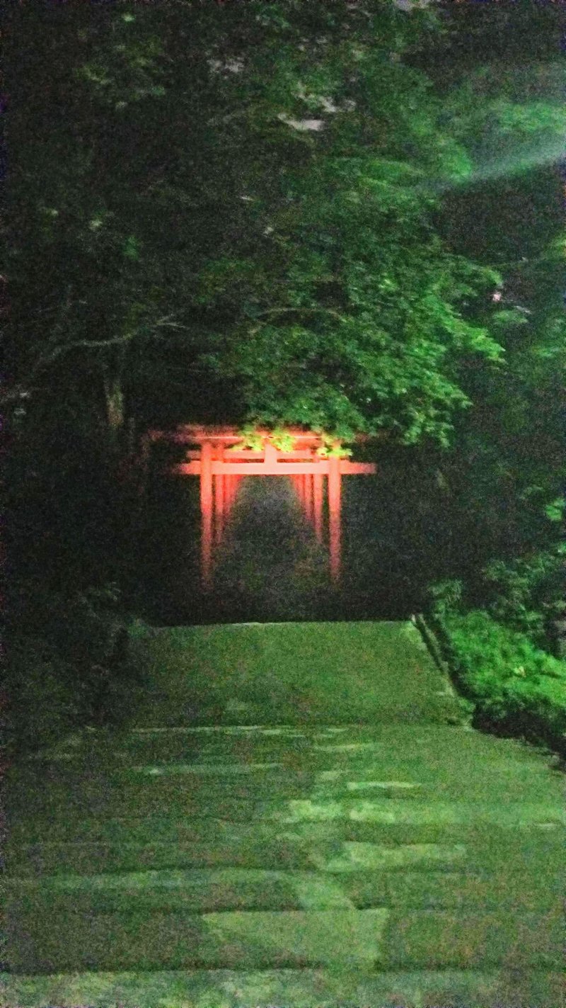 深夜にサイクリング 札幌伏見稲荷 中島公園編 Hajime Ninomae Note 深夜にサイクリング 札幌伏見稲荷 中島公園編 Hajime Ninomae Note