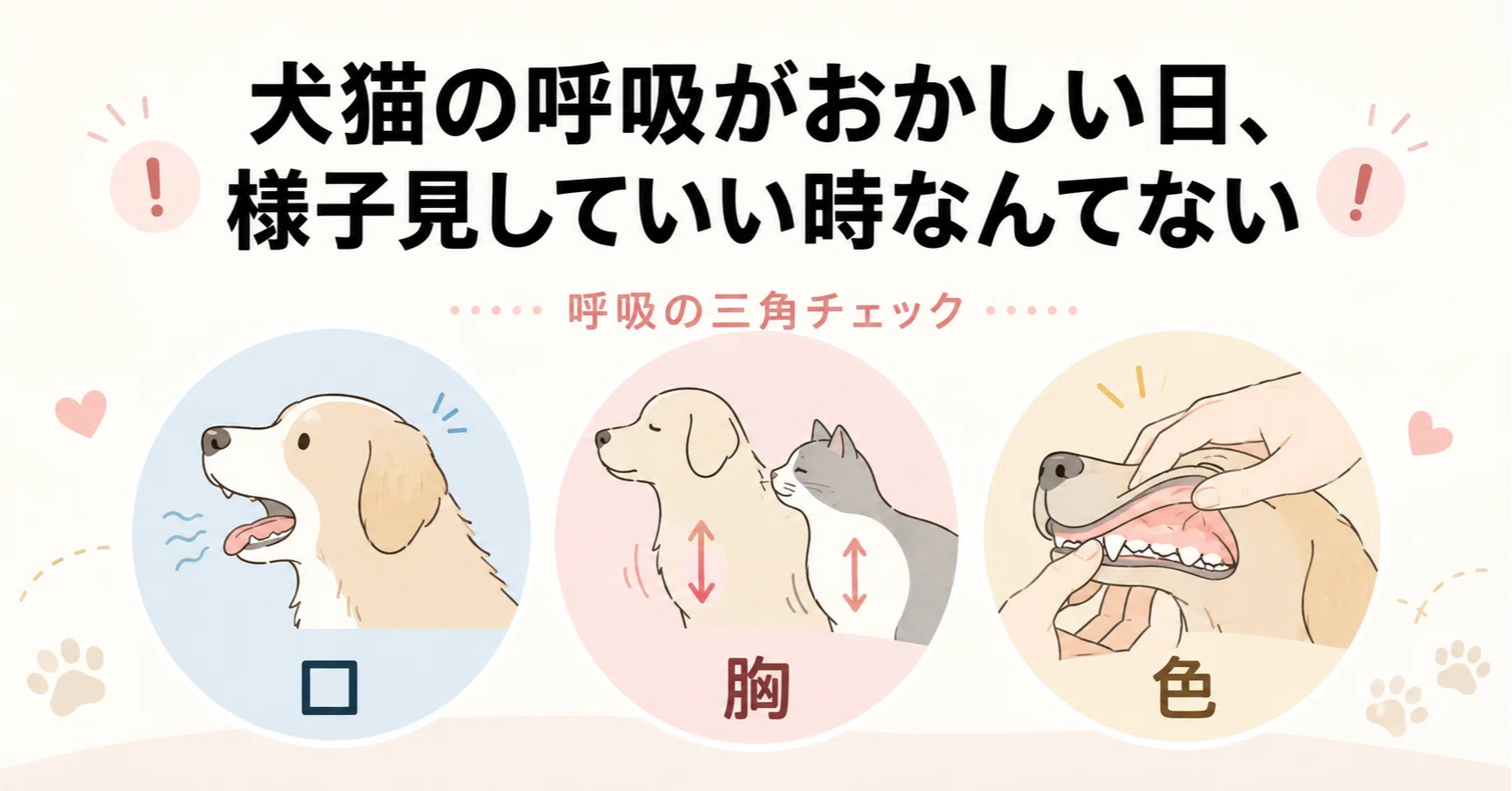 犬猫の呼吸がおかしい日、様子見していい時なんてない｜VTもげおくん