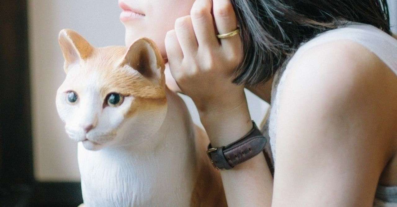 私に 親友 っていう価値観がわからない みんな友達だし 知り合い 他人 女子大生のん Note