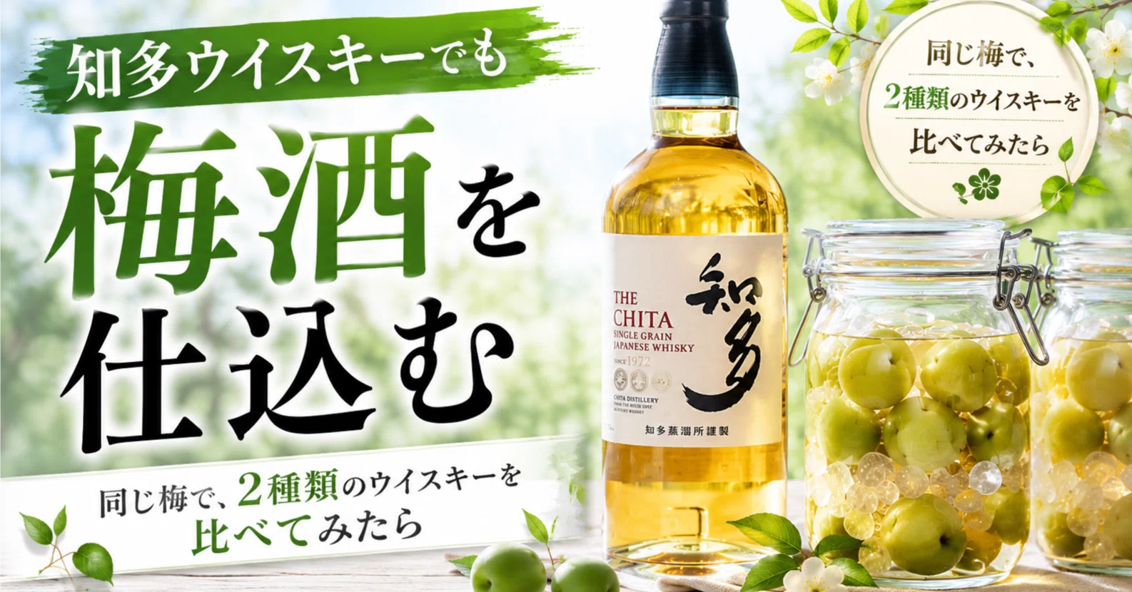 今年は知多ウイスキーでも梅酒を仕込む — 同じ梅で、2種類のウイスキー 