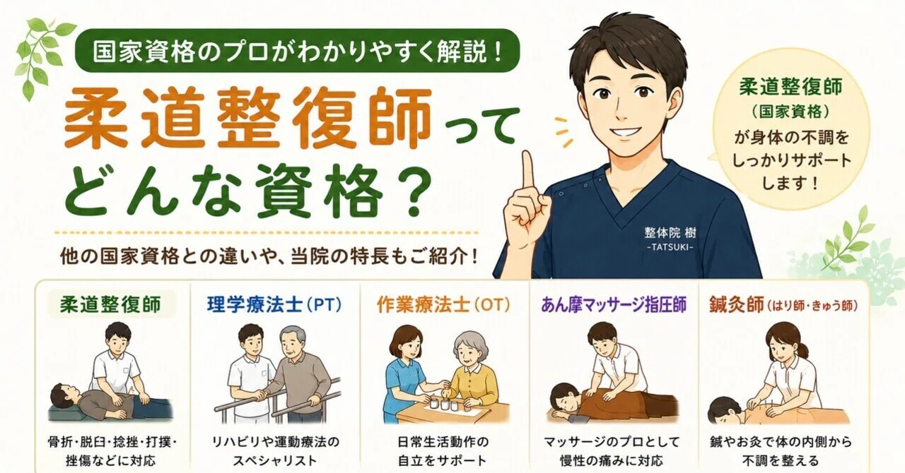 柔道整復師ってどんな資格！？｜整体院 樹-TATSUKI-