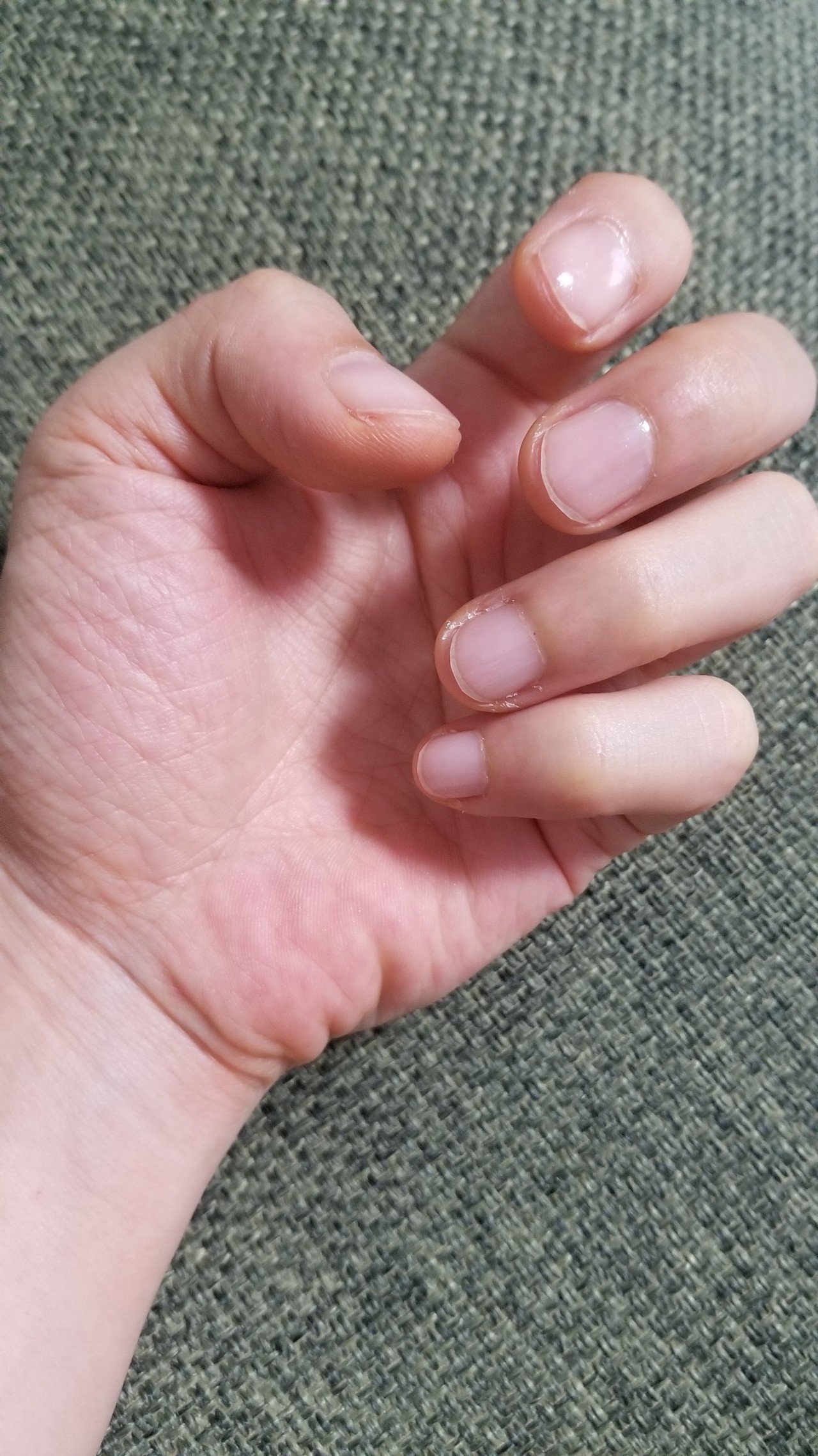 短い爪 ゆりこ Note