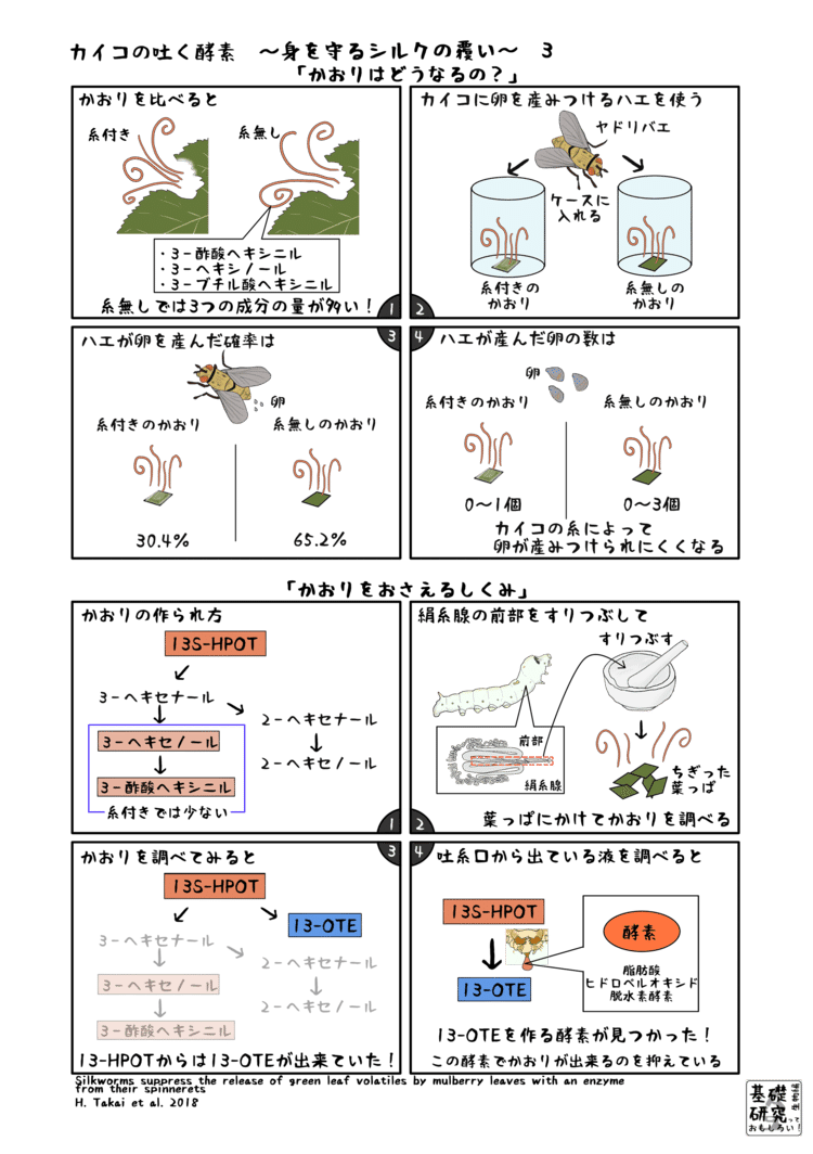 カイコの吐く酵素 身を守るシルクの覆い かわいせーざん 基礎研究っておもしろい 生物編 Note