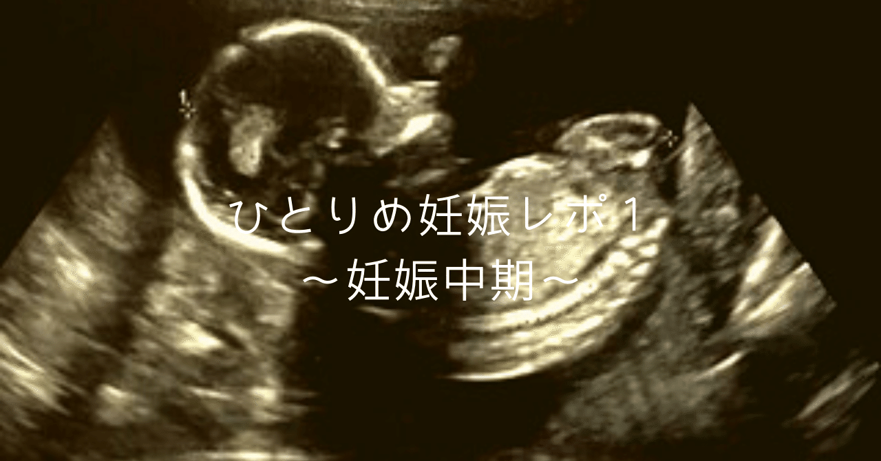 我が家の一人目妊娠レポ2 妊娠中期 ヒナ Note