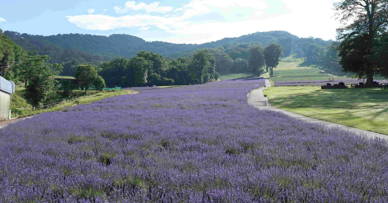 [Exploring Gunma] #5 | A town where orchards and original landscapes ...